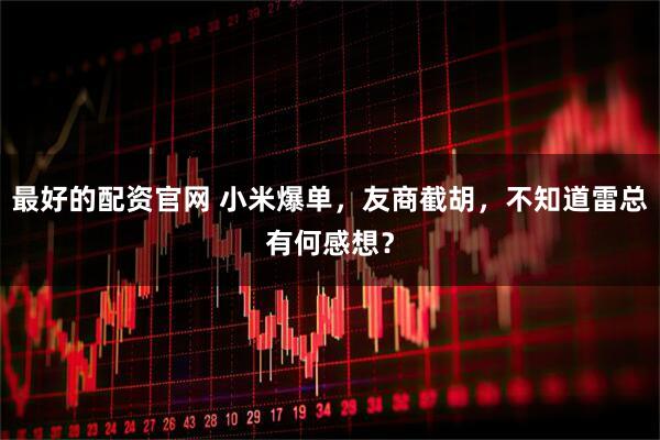 最好的配资官网 小米爆单，友商截胡，不知道雷总有何感想？