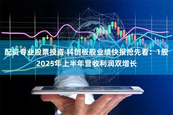 配资专业股票投资 科创板股业绩快报抢先看：1股2025年上半年营收利润双增长